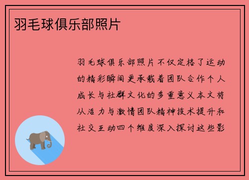 羽毛球俱乐部照片